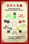 五行入五脏