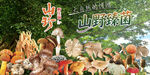 野生菌海报