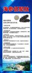 夏季养生海参养殖招商信息海报