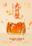大闸蟹海报