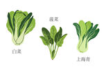蔬菜