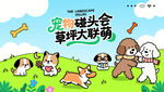 萌宠宠物趣味活动