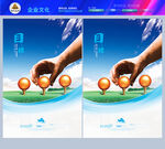 企业品质效率管理