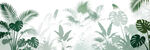 雾气磨砂膜效果绿植贴图