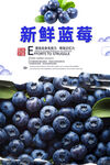 蓝莓
