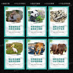 保护生物多样性