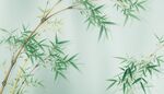 水墨竹林