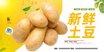 土豆
