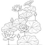 荷花线描图案 矢量图