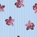 蓝底条纹上的紫红色兰花图案