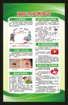预防登革热知识海报