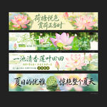 荷花节