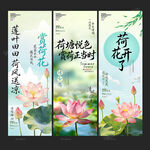 荷花挂布
