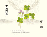 浮萍中药浮萍