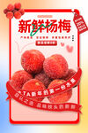 杨梅