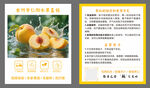 桃子卡片