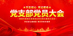 党支部党员大会