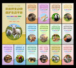 保护野生动物