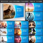 公司展板