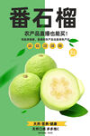 番石榴