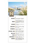 芦苇板海报