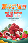 荔枝采摘海报