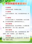 养老院护理服务等级划分宣传海报