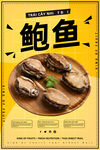 鲍鱼