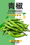 青椒