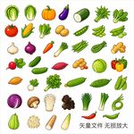 多样蔬菜集合展示