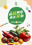 蔬菜海报