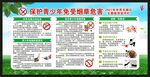 世界无烟日宣传栏