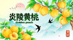 黄桃
