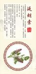 浙八味延胡索中药材展示