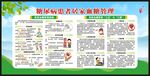 联合国糖尿病日宣传栏