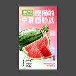 宁夏西砂瓜