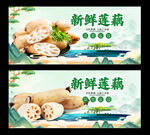 莲藕