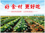 蔬菜园