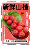 山楂