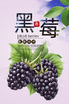 黑莓
