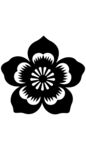 黑白花朵图案
