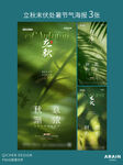 立秋处暑末伏树荫海报
