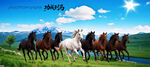八骏图