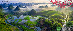 桂林山水梯田