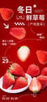 冬日新鲜草莓促销特惠