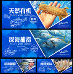 海鲜灯箱