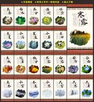 二十四节气