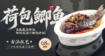 荷包鲫鱼 
