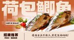 荷包鲫鱼