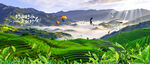 茶山
